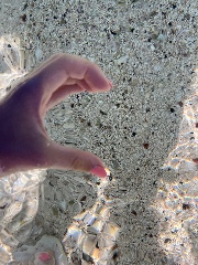 Les BFF 🩵's avatar