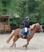 Léna ❤️♾️🫶🫧's avatar