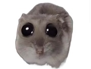 🌸💭~Emma~💭🌸's avatar