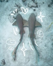 PheebsLife channel sharing's avatar