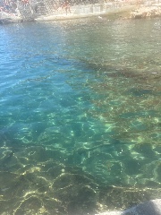 : 𝐜𝐚𝐫𝐢! 🥥🌴's avatar