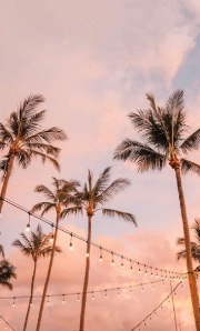 CiaoSonoFiga🍑's avatar