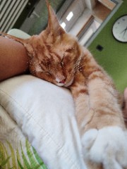 Clizia🫶🏻's avatar