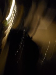 Nina🌺🐆's avatar