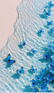 La fans de hunter x hunter 's avatar