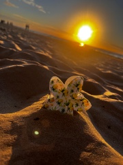 Just_E&M_Life 's avatar