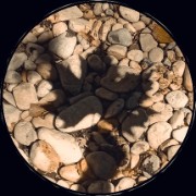 Wolfy_Therian's avatar