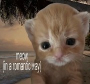 lakayayussuus's avatar