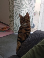 Julia ✨🌹's avatar