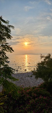 D€ R0ck_ch!cksSs😎⚡️ 's avatar