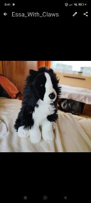 Lyxa on paws's avatar