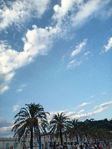 Chaïma 🌺's avatar