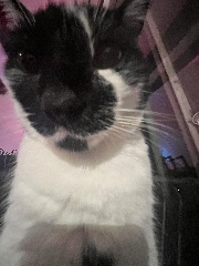 💚Hyunjinaaa💚's avatar