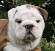 Nonoloso2913's avatar