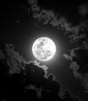 Claire 🦋's avatar