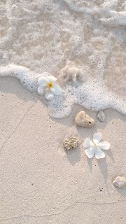 𝐋𝐢𝐥𝐲's avatar