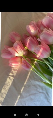 Loulou ✨🎀's avatar