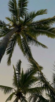 🐆🎱{ Léa }✨️🌺's avatar