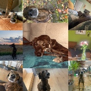 💗🐾•Lilli•🐾💗's avatar