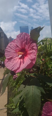 Une stay🤩's avatar