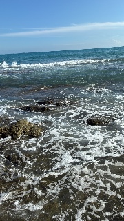 carolina 2014's avatar