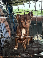 Seynna 😍😍😍🤩🤩's avatar