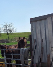 Just.me 🍋's avatar