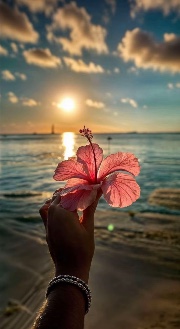 ✨🌺𝑮𝒐𝒐𝒅 𝑽𝒊𝒃𝒆𝒔 🌺✨'s avatar