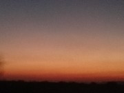 Army_Forever🫵🏻 's avatar