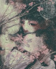 Music of Japan ☆'s avatar