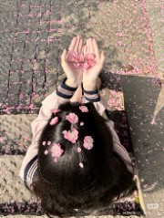 Feffe🌺🦋's avatar