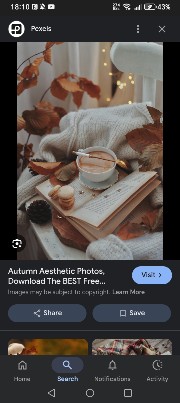 𝙼𝚒𝚊𝚊's avatar