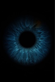 Lisa 🪩🪽's avatar