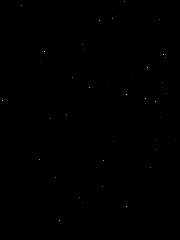 Une dino 🦖's avatar