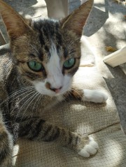 Zozo 😉🎀's avatar