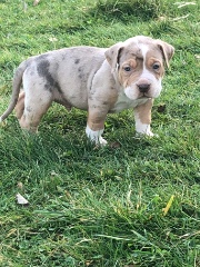 Keylah✨🌺's avatar