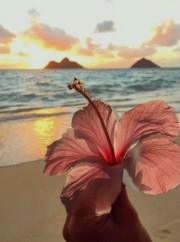 🪩🐆Girly Chaine🥂🍒's avatar