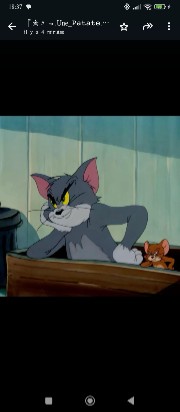 🦕🎞️ 💋 's avatar