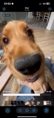 Albane🇫🇷🇪🇸🎀's avatar