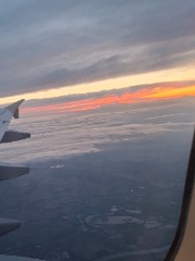 Mlle.yee🌸🌸's avatar