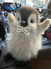 𝓒𝓱𝓪𝓷𝓷𝓮𝓵 𝓤𝓹𝓭𝓪𝓽𝓮's avatar