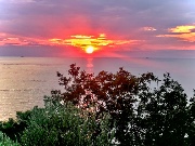 🎀My weird ways🎀's avatar