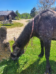 @mespony@mescoupines@moi's avatar