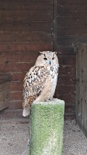 Hanaé 🎀🧸's avatar