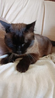 Une_hashida's avatar