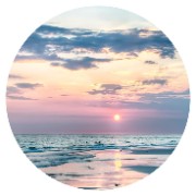 Moi 🙌🏼🪩🥂's avatar