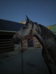 Cassie 🇲🇫🇬🇷's avatar