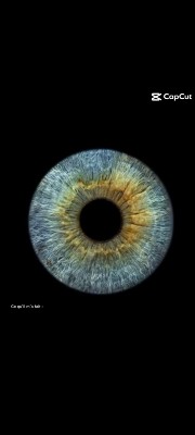 Votre Histoire 📖's avatar