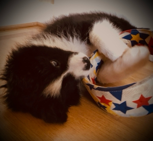 starznotes 💫's avatar