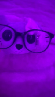 JennyLASTAR's avatar